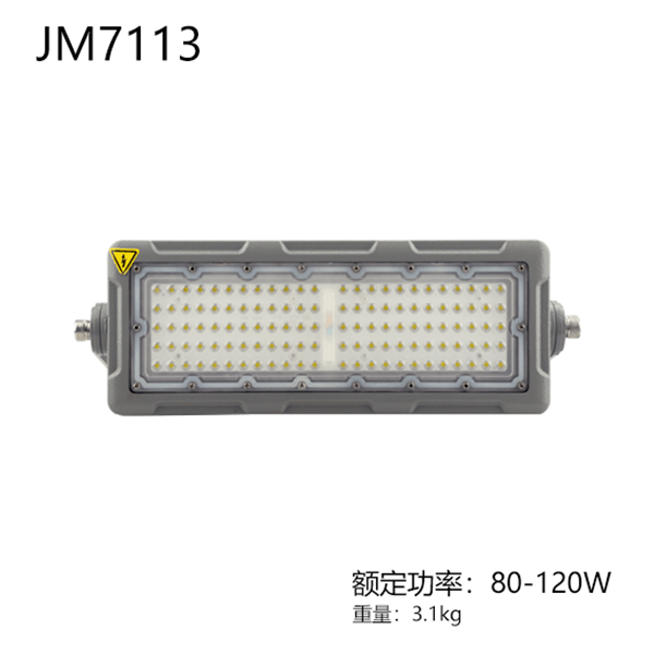 JM7113-I  LED投（泛）光灯